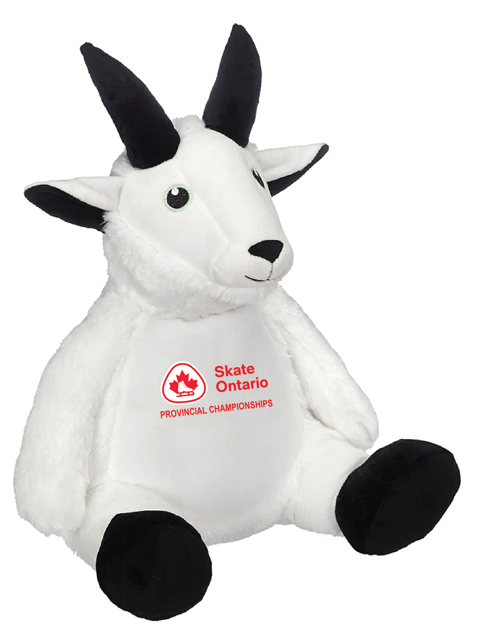 2026 SKATE ONTARIO PROVINCIALS - GOAT